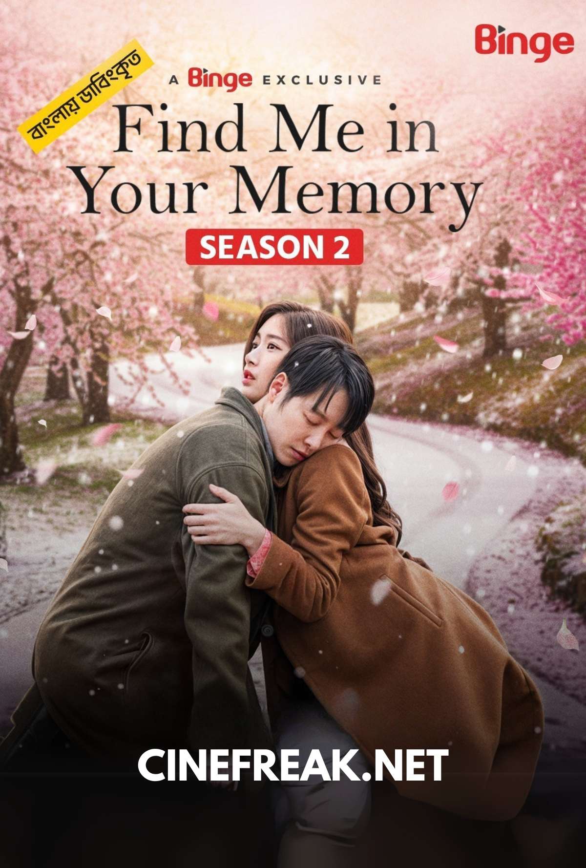 Find Me in Your Memory 2025 (Season 1 2) Bengali Binge Web Series Movie Poster - CineFreak